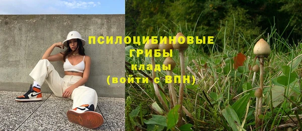 круглые Алзамай