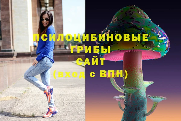 круглые Алзамай