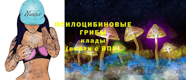 герыч Алексин