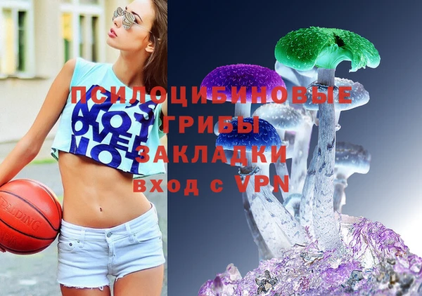 круглые Алзамай