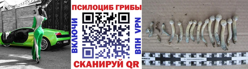 Псилоцибиновые грибы ЛСД  Лукоянов 